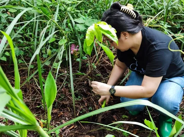 pluxee tree planting 