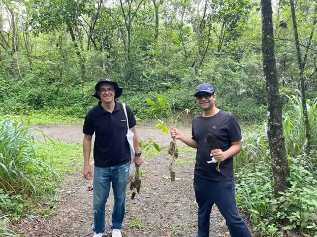 pluxee tree planting 