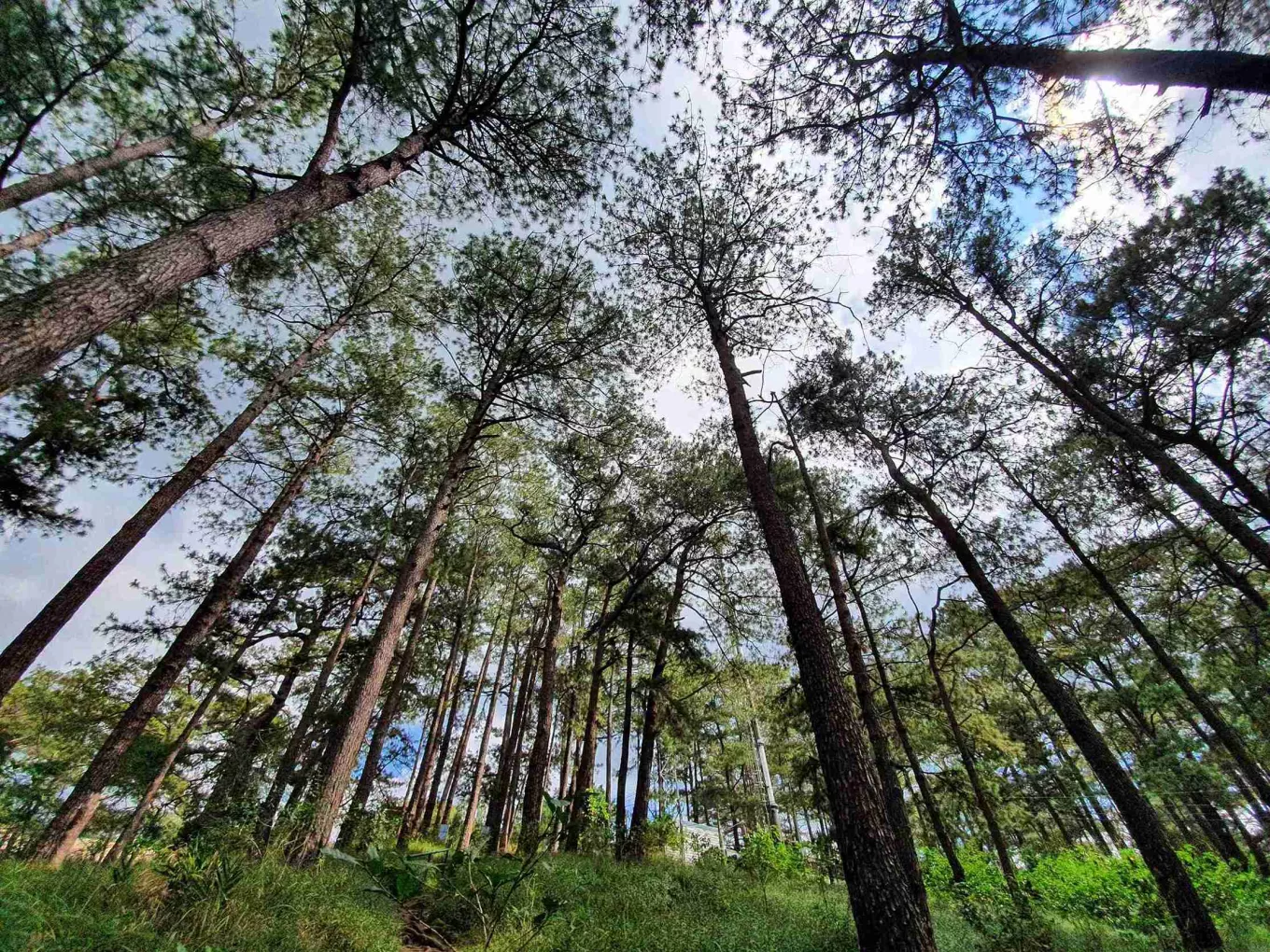 city-guides-baguio