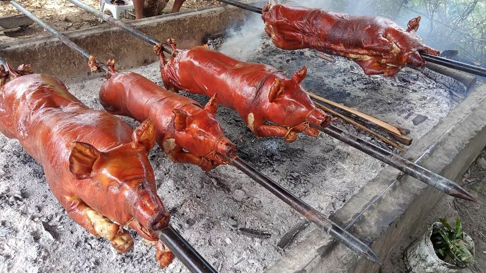 Pluxeeventures - Cebu City 