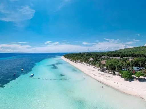 Bohol City Guides 
