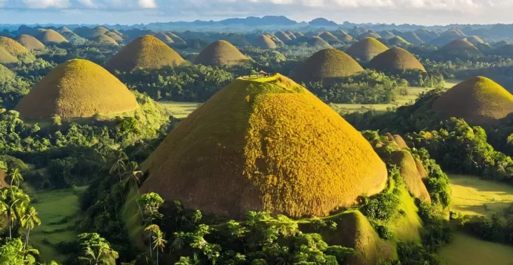 Bohol City Guides