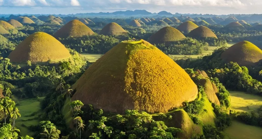 Bohol City Guides